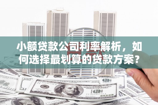 莞城小额贷款公司利率解析，如何选择最划算的贷款方案？