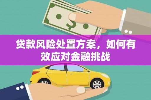 海沧贷款风险处置方案，如何有效应对金融挑战