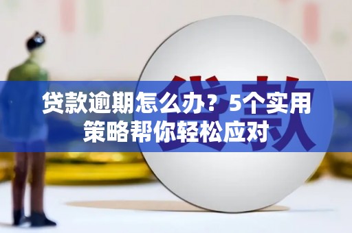 大姚贷款逾期怎么办？5个实用策略帮你轻松应对