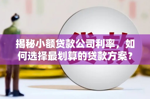 永福揭秘小额贷款公司利率，如何选择最划算的贷款方案？