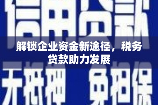 诏安解锁企业资金新途径，税务贷款助力发展