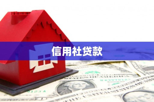 秦州信用社贷款