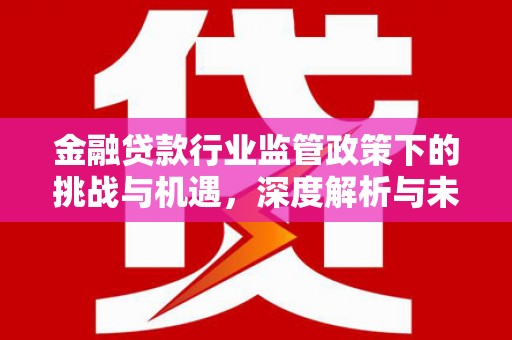 蚌山金融贷款行业监管政策下的挑战与机遇，深度解析与未来展望