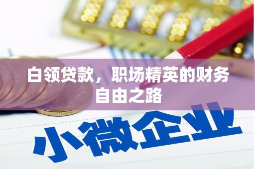 端州白领贷款，职场精英的财务自由之路