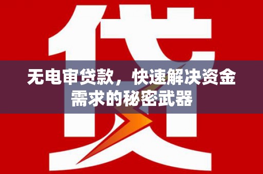 淅川无电审贷款，快速解决资金需求的秘密武器