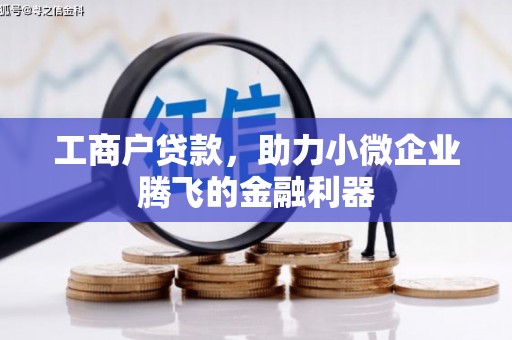 忠县工商户贷款，助力小微企业腾飞的金融利器