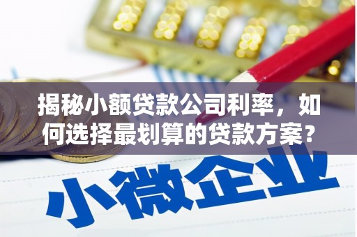 忠县揭秘小额贷款公司利率，如何选择最划算的贷款方案？