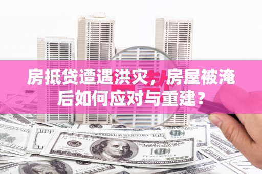 东凤房抵贷遭遇洪灾，房屋被淹后如何应对与重建？
