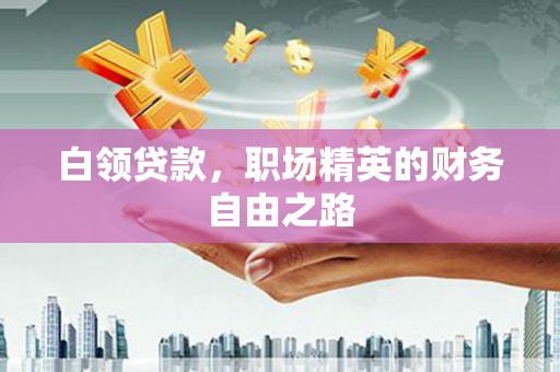 招远白领贷款，职场精英的财务自由之路
