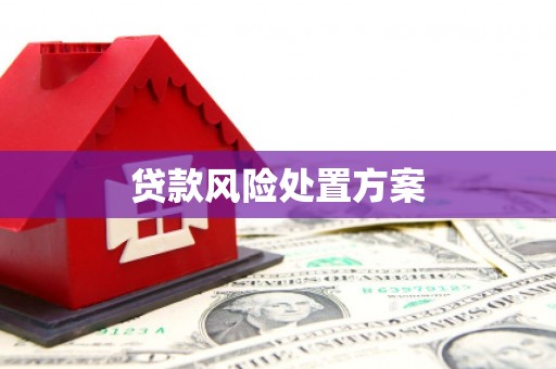 泸西贷款风险处置方案