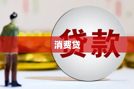 朗县消费贷