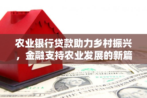 泽库农业银行贷款助力乡村振兴，金融支持农业发展的新篇章