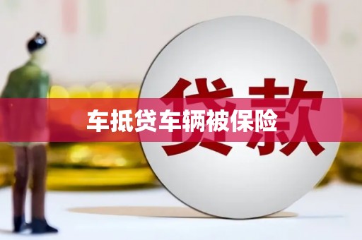 玉州车抵贷车辆被保险