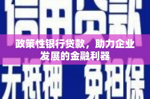 吴兴政策性银行贷款，助力企业发展的金融利器