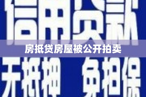 林园房抵贷房屋被公开拍卖