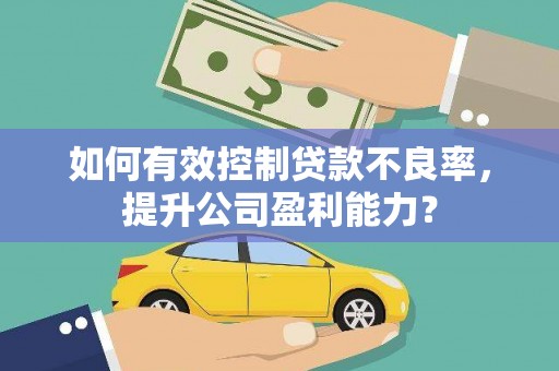许昌如何有效控制贷款不良率，提升公司盈利能力？