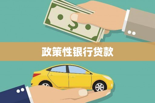 武都政策性银行贷款