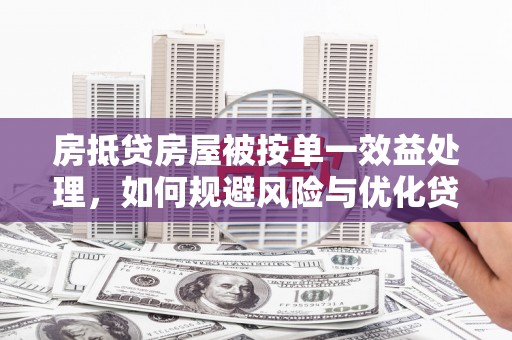甘泉房抵贷房屋被按单一效益处理，如何规避风险与优化贷款策略