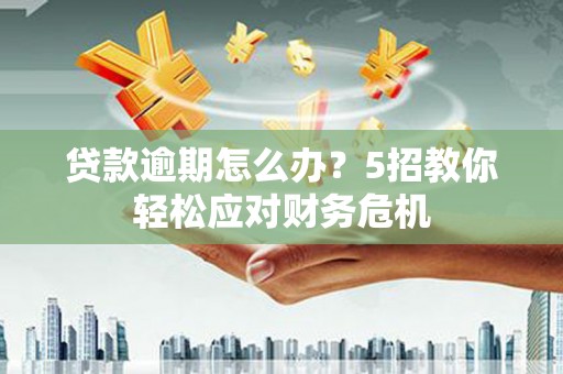 武城贷款逾期怎么办？5招教你轻松应对财务危机