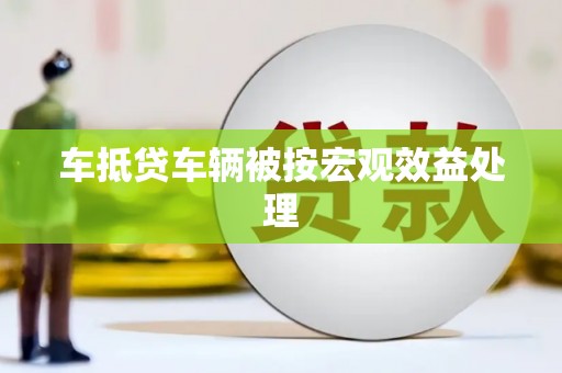 玛多车抵贷车辆被按宏观效益处理