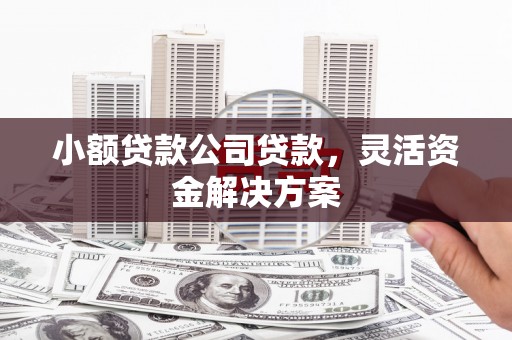鹿谷小额贷款公司贷款，灵活资金解决方案