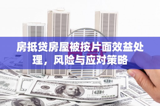庄河房抵贷房屋被按片面效益处理，风险与应对策略