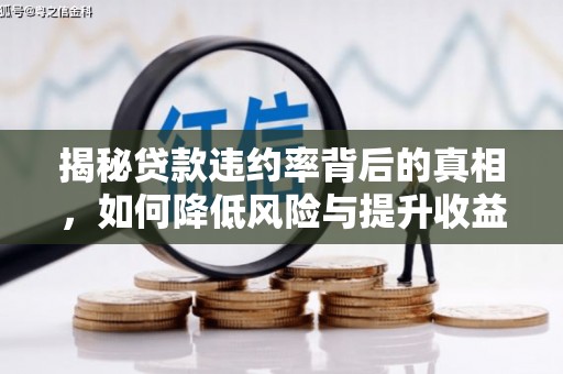 新巴尔虎左旗揭秘贷款违约率背后的真相，如何降低风险与提升收益
