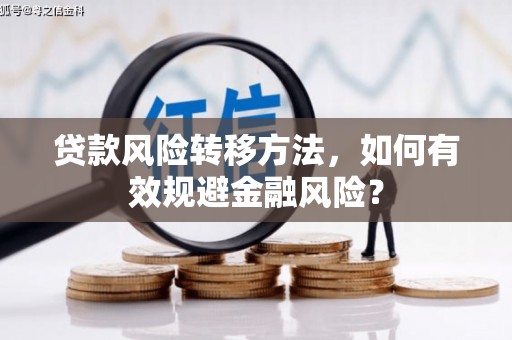 电白贷款风险转移方法，如何有效规避金融风险？