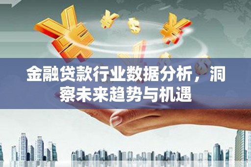 富裕金融贷款行业数据分析，洞察未来趋势与机遇