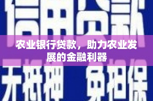 大肚农业银行贷款，助力农业发展的金融利器