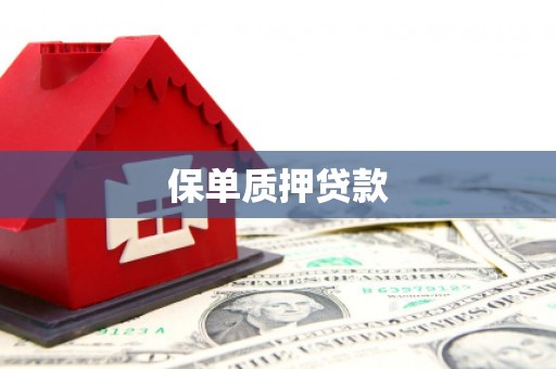漳州保单质押贷款