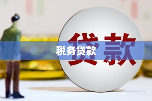 大方税务贷款