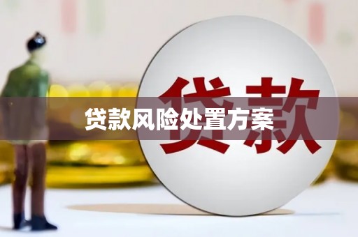 杏花岭贷款风险处置方案