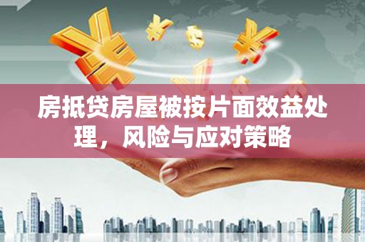 蒸湘房抵贷房屋被按片面效益处理，风险与应对策略