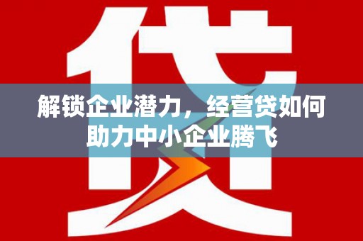 中坜解锁企业潜力，经营贷如何助力中小企业腾飞
