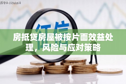 中坜房抵贷房屋被按片面效益处理，风险与应对策略