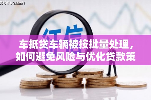 界首车抵贷车辆被按批量处理，如何避免风险与优化贷款策略