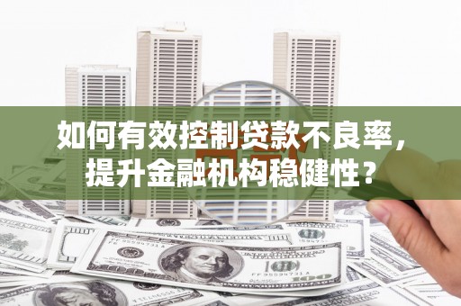 磴口如何有效控制贷款不良率，提升金融机构稳健性？