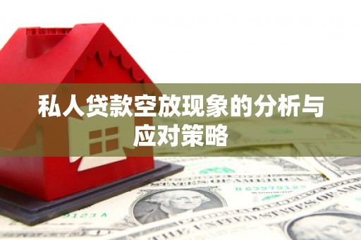 洪山私人贷款空放现象的分析与应对策略
