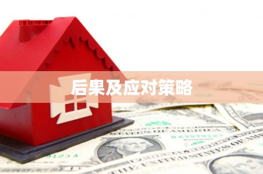 洪山后果及应对策略