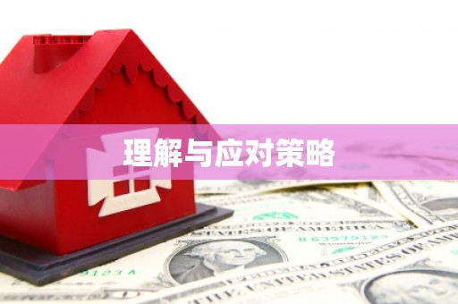 东坡理解与应对策略