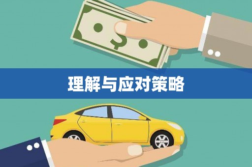 乐平理解与应对策略