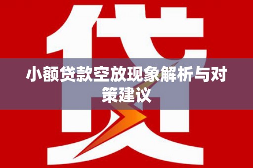乐平小额贷款空放现象解析与对策建议