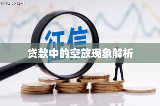 玉树贷款中的空放现象解析