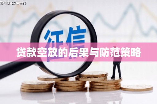 玉树贷款空放的后果与防范策略