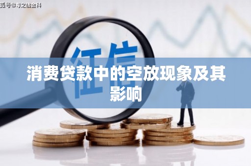大同消费贷款中的空放现象及其影响