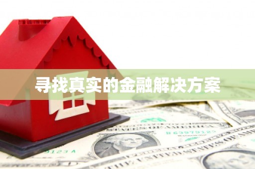大同寻找真实的金融解决方案