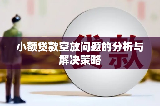 涧西小额贷款空放问题的分析与解决策略