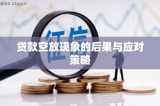 靖边贷款空放现象的后果与应对策略
