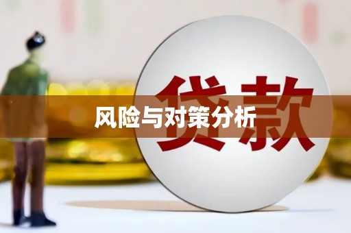 临武风险与对策分析